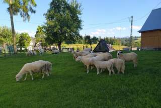 Фермерские дома U Marii & Mariana Leśnica-1